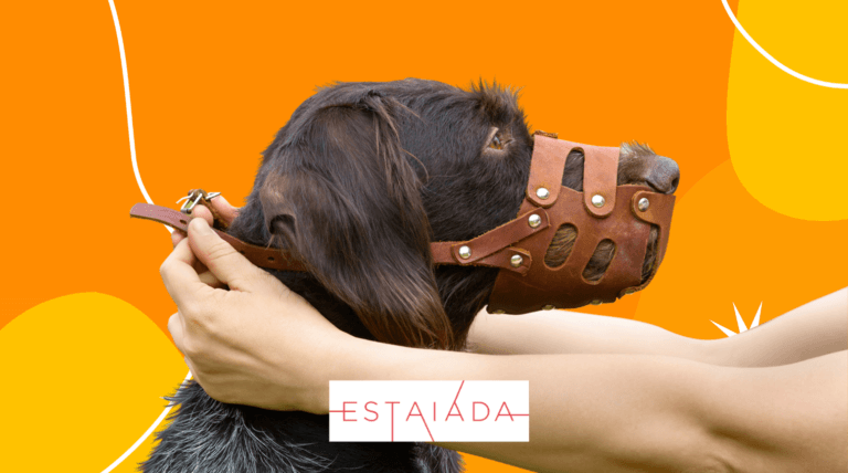 Uso de focinheira para cães em áreas comuns no condomínio