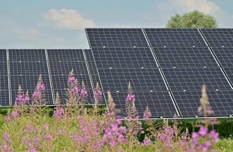 Vantagens da Adesão à Energia Solar